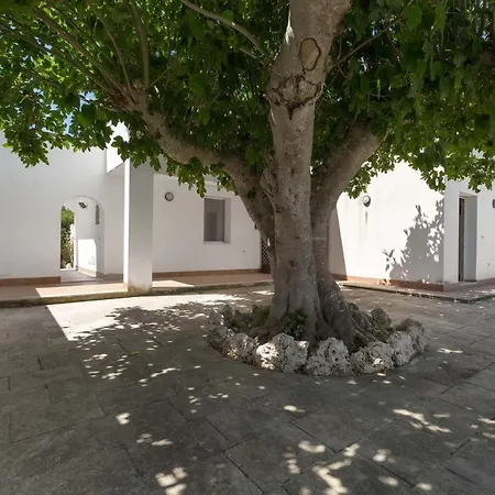 Lejlighed Soledelsud By Barbarhouse Otranto